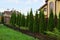 green coniferous ornamental trees in the grass outside a brown fence