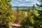 Green coniferous trees in forest and view from hill on lake and snowy mountains