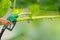 Green conservation. Gas pump nozzle and leaf background. Fuel dispenser on nature background.