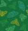 Green contour butterfly and moth set. Vector surface design