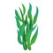 Green coral icon, cartoon style