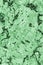 Green Cork Tile Grunge Texture