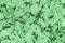 Green Cork Tile Grunge Texture