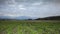 Green of corn farm in front of mountain under cloudy sky