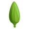 Green corn plant icon, cartoon style