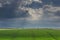 Green cornfield and stormy sky