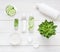 Green cosmetics flat lay with succulent plant. Top view