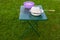 Green country folding table on the grass with a purple plate and a standing open wire rack in a white bowl with pickled meat in