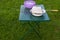 Green country folding table on the grass with a purple plate and a standing open wire rack in a white bowl with pickled meat in