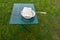 Green country folding table on the grass with a purple plate and a standing open wire rack in a white bowl with pickled meat in