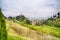 The green countryside around the clock tower