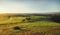 Green Countryside Fields at Sunrise, UK