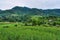 Green countryside in Luang Nam Tha, Laos