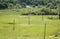 Green countryside with road, meadows