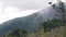 Green covered with forest mountain in white fog, view through hill slope.