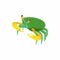 Green crab icon, cartoon style