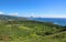 Green crater of Diamond Head