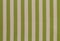 Green and cream striped background