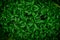 Green creative fashionable nature leaves texture for background.