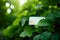 Green credit card on a background of green leaves. Green Friday, sustainable consumption, sustainability, ecology, zero waste and
