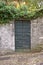 Green creeper on the brick stucco cracked wall with green door