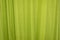 Green crepe paper background