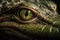 Green Crocodile Eye Closeup Illustration for Wildlife Posters and Educational Materials.
