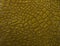 green crocodile skin texture close-up; reptile texture as background