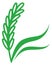 Green crop emblem. Growing eco grain icon