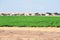 Green crops in the Negev desert Israel