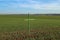 Green crosses in German fields a form of silent protest