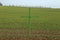 Green crosses in German fields a form of silent protest