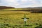 Green crosses in German fields a form of silent protest.