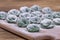 Green crude pelmeni with spirulina. Ukrainian and Russian dishes - vareniki or dumplings with beef meat or mashed potatoes or cott