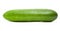 Green Cucumber