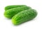 Green cucumber vegetable fruit isolated