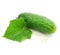 Green cucumber vegetable fruit with leaf isolated