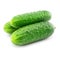 Green cucumber vegetable fruits isolated