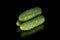 Green cucumbers Gherkin isolated on black background