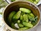 Green cucumbers in pot