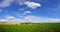 Green cultivated field under clear blue sky with clouds