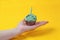 Green cupcake and a birthday candle on hand