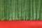 Green Curtains on a red Stage