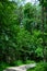 Green Curving Trail at Waterfall Glen Forest Preserve in Suburban Lemont Illinois