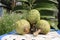 Green Custard apple on Table with green leaf