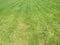 Green cut grass in spring. Football or soccer field green grass background.