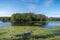 green cypress tree dome