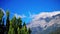 Green cypress tree on the mountains background