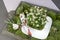 Green decoration with moss, flowers and tableware