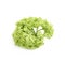 Green decorational flower element